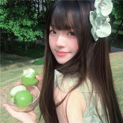 蒂科与鲨鱼