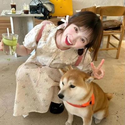 我的过错